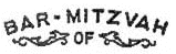 Bar Mitzvah - FREE Style